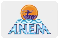 anem logo